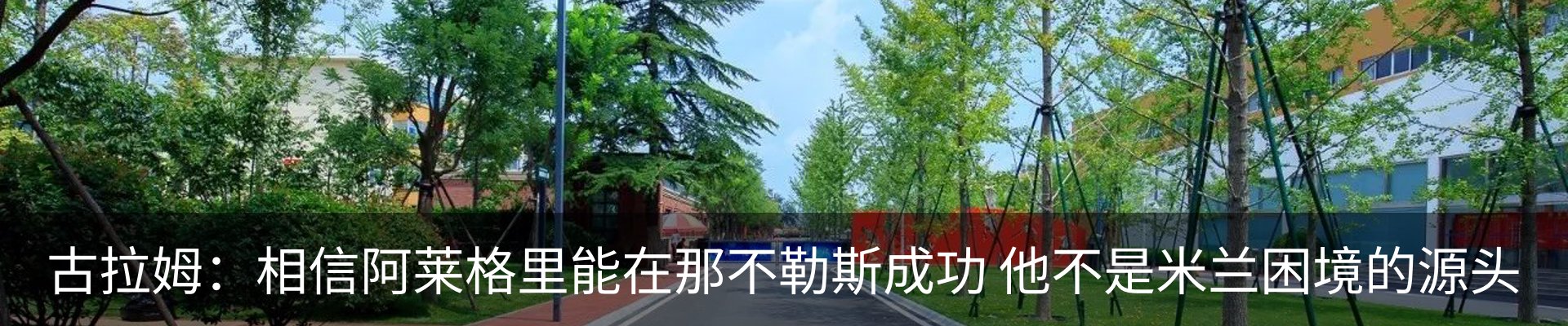 最新动态